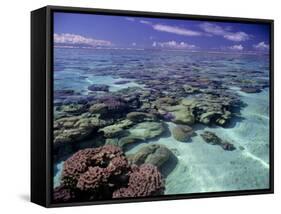 Bora Bora Lagoon1-Ron Whitby Photography-Framed Stretched Canvas