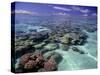 Bora Bora Lagoon1-Ron Whitby Photography-Stretched Canvas
