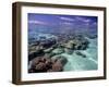 Bora Bora Lagoon1-Ron Whitby Photography-Framed Photographic Print