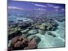 Bora Bora Lagoon1-Ron Whitby Photography-Mounted Photographic Print