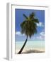 Bora-Bora, Leeward Group, Society Islands, French Polynesia Islands-Sergio Pitamitz-Framed Photographic Print