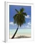 Bora-Bora, Leeward Group, Society Islands, French Polynesia Islands-Sergio Pitamitz-Framed Photographic Print