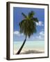 Bora-Bora, Leeward Group, Society Islands, French Polynesia Islands-Sergio Pitamitz-Framed Photographic Print