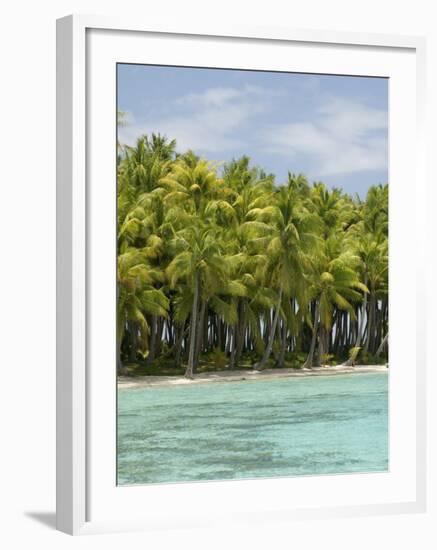 Bora-Bora, Leeward Group, Society Islands, French Polynesia Islands-Sergio Pitamitz-Framed Photographic Print