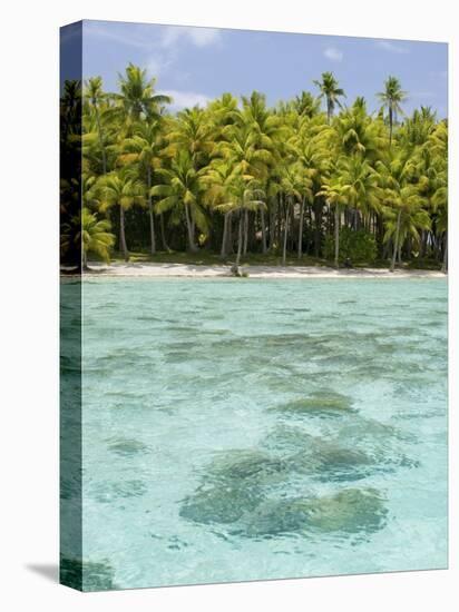 Bora-Bora, Leeward Group, Society Islands, French Polynesia Islands-Sergio Pitamitz-Stretched Canvas