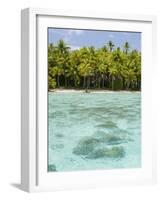 Bora-Bora, Leeward Group, Society Islands, French Polynesia Islands-Sergio Pitamitz-Framed Photographic Print