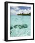 Bora-Bora, Leeward Group, Society Islands, French Polynesia Islands-Sergio Pitamitz-Framed Photographic Print