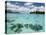 Bora-Bora, Leeward Group, Society Islands, French Polynesia Islands-Sergio Pitamitz-Stretched Canvas