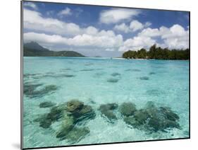 Bora-Bora, Leeward Group, Society Islands, French Polynesia Islands-Sergio Pitamitz-Mounted Photographic Print