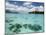 Bora-Bora, Leeward Group, Society Islands, French Polynesia Islands-Sergio Pitamitz-Mounted Photographic Print