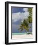 Bora-Bora, Leeward Group, Society Islands, French Polynesia Islands-Sergio Pitamitz-Framed Photographic Print