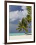 Bora-Bora, Leeward Group, Society Islands, French Polynesia Islands-Sergio Pitamitz-Framed Photographic Print