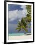 Bora-Bora, Leeward Group, Society Islands, French Polynesia Islands-Sergio Pitamitz-Framed Photographic Print