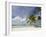 Bora-Bora, Leeward Group, Society Islands, French Polynesia Islands-Sergio Pitamitz-Framed Photographic Print