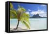 Bora Bora, Society Islands, French Polynesia, South Pacific, Pacific-Ian Trower-Framed Stretched Canvas