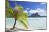 Bora Bora, Society Islands, French Polynesia, South Pacific, Pacific-Ian Trower-Mounted Photographic Print