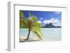 Bora Bora, Society Islands, French Polynesia, South Pacific, Pacific-Ian Trower-Framed Photographic Print