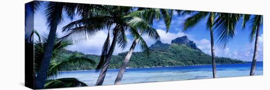 Bora Bora, Tahiti, Polynesia-null-Stretched Canvas