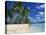 Bora Bora, Tahiti, Society Islands, French Polynesia, Pacific Islands, Pacific-Mawson Mark-Stretched Canvas