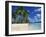 Bora Bora, Tahiti, Society Islands, French Polynesia, Pacific Islands, Pacific-Mawson Mark-Framed Photographic Print