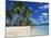 Bora Bora, Tahiti, Society Islands, French Polynesia, Pacific Islands, Pacific-Mawson Mark-Mounted Photographic Print