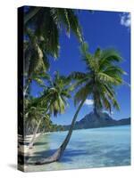 Bora Bora, Tahiti, Society Islands, French Polynesia, Pacific Islands, Pacific-Mawson Mark-Stretched Canvas