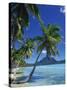 Bora Bora, Tahiti, Society Islands, French Polynesia, Pacific Islands, Pacific-Mawson Mark-Stretched Canvas