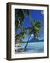Bora Bora, Tahiti, Society Islands, French Polynesia, Pacific Islands, Pacific-Mawson Mark-Framed Photographic Print