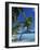 Bora Bora, Tahiti, Society Islands, French Polynesia, Pacific Islands, Pacific-Mawson Mark-Framed Photographic Print