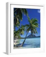 Bora Bora, Tahiti, Society Islands, French Polynesia, Pacific Islands, Pacific-Mawson Mark-Framed Photographic Print