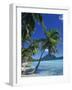 Bora Bora, Tahiti, Society Islands, French Polynesia, Pacific Islands, Pacific-Mawson Mark-Framed Photographic Print