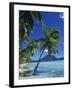 Bora Bora, Tahiti, Society Islands, French Polynesia, Pacific Islands, Pacific-Mawson Mark-Framed Photographic Print