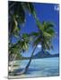 Bora Bora, Tahiti, Society Islands, French Polynesia, Pacific Islands, Pacific-Mawson Mark-Mounted Photographic Print