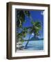 Bora Bora, Tahiti, Society Islands, French Polynesia, Pacific Islands, Pacific-Mawson Mark-Framed Photographic Print