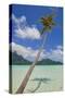 Bora Bora-Styve-Stretched Canvas