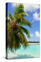 Bora Bora-Styve-Stretched Canvas