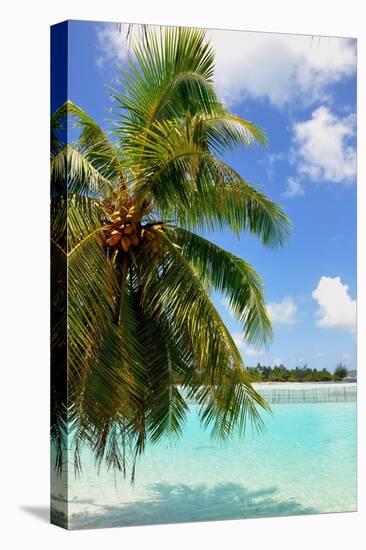 Bora Bora-Styve-Stretched Canvas