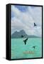 Bora Bora-Styve-Framed Stretched Canvas