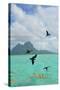 Bora Bora-Styve-Stretched Canvas