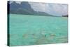 Bora Bora-Styve-Stretched Canvas