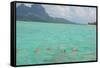 Bora Bora-Styve-Framed Stretched Canvas