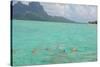 Bora Bora-Styve-Stretched Canvas