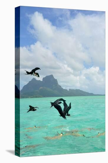 Bora Bora-Styve-Stretched Canvas