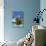 Bora Bora-Styve-Photographic Print displayed on a wall