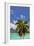 Bora Bora-Styve-Framed Photographic Print