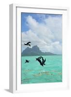 Bora Bora-Styve-Framed Photographic Print