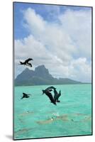 Bora Bora-Styve-Mounted Photographic Print