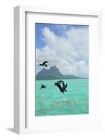 Bora Bora-Styve-Framed Photographic Print