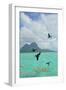 Bora Bora-Styve-Framed Photographic Print