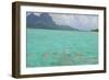 Bora Bora-Styve-Framed Photographic Print